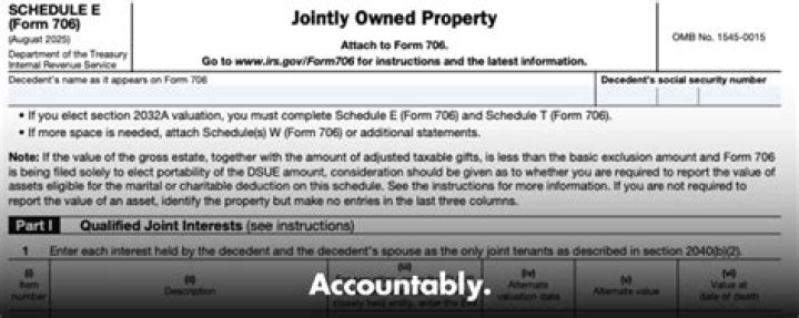 What is reported on Form 706 Schedule E?