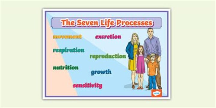 What is required to carry out all life processes?
