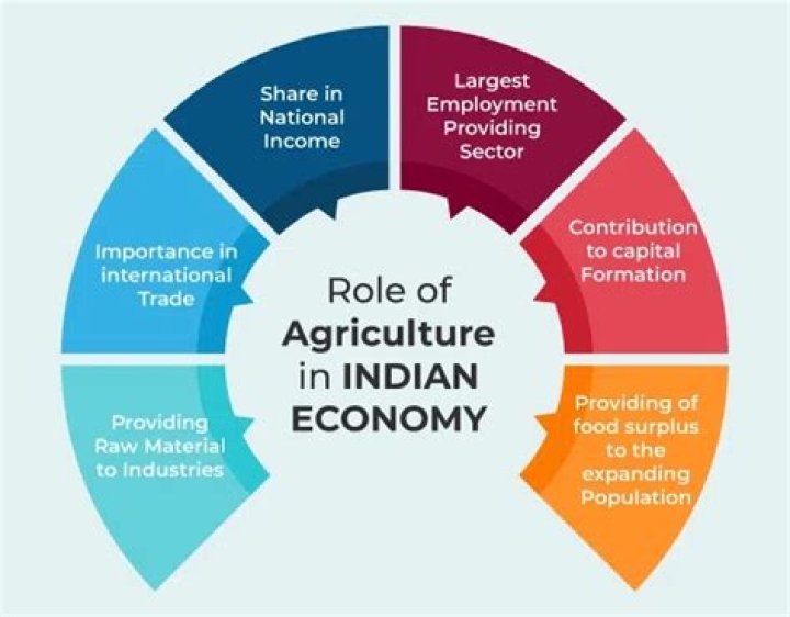 What is role of agriculture in Indian economy?