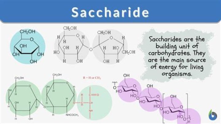 What is saccharide Isomerate?