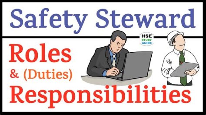 What is safety steward?
