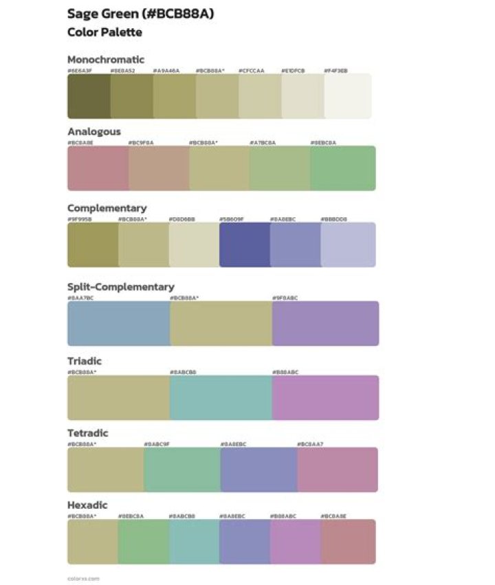 What is sage color scheme?