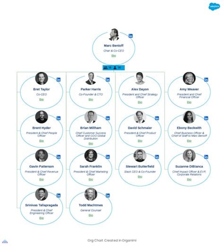 What is Salesforce leadership?