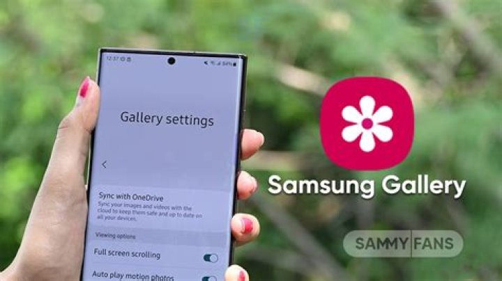 What is Samsung gallery used for?