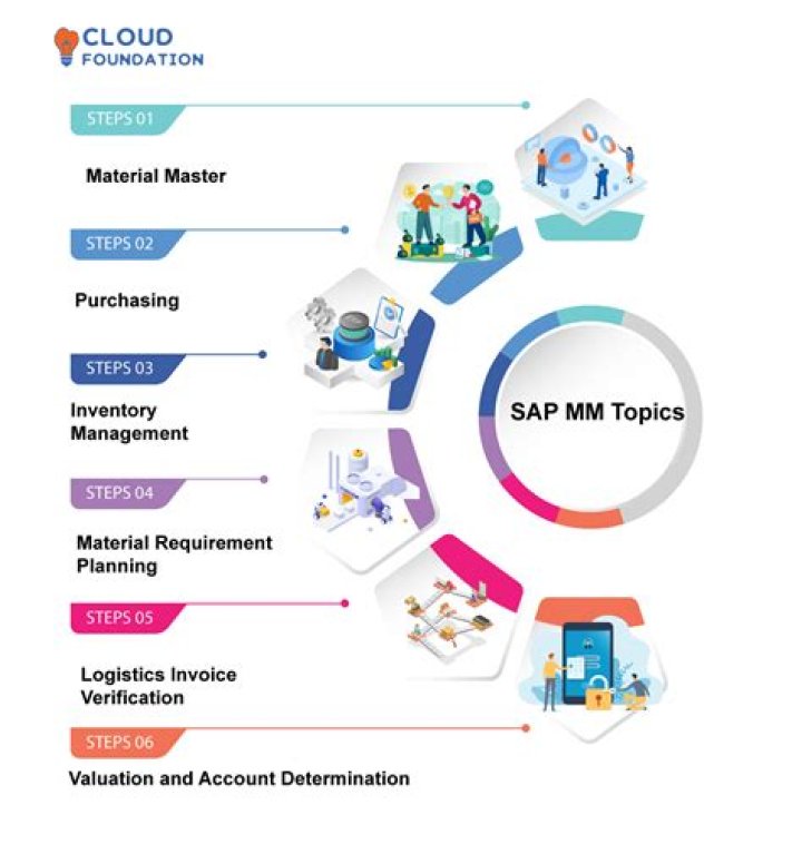 What is SAP in MM?