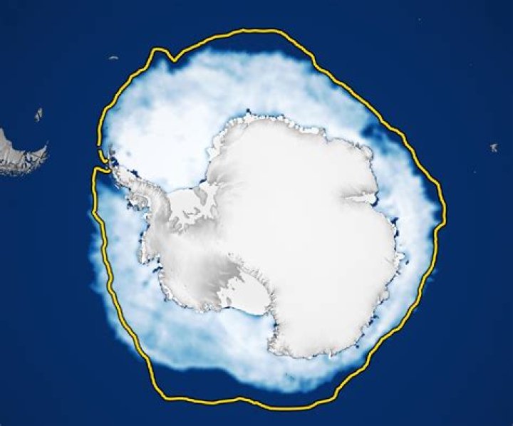 What is Sea snow?