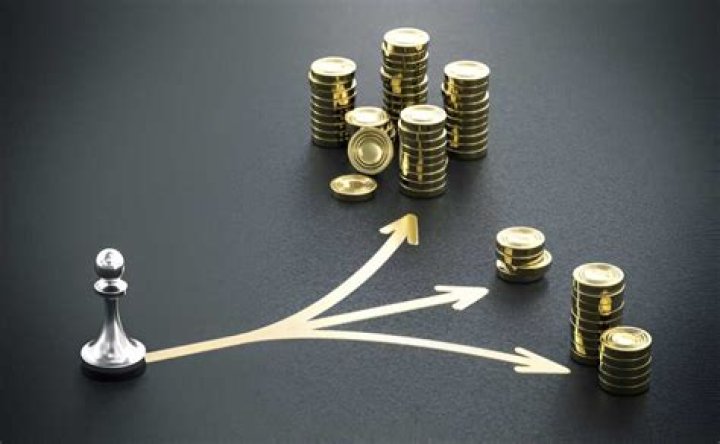 What is separation theorem in finance?