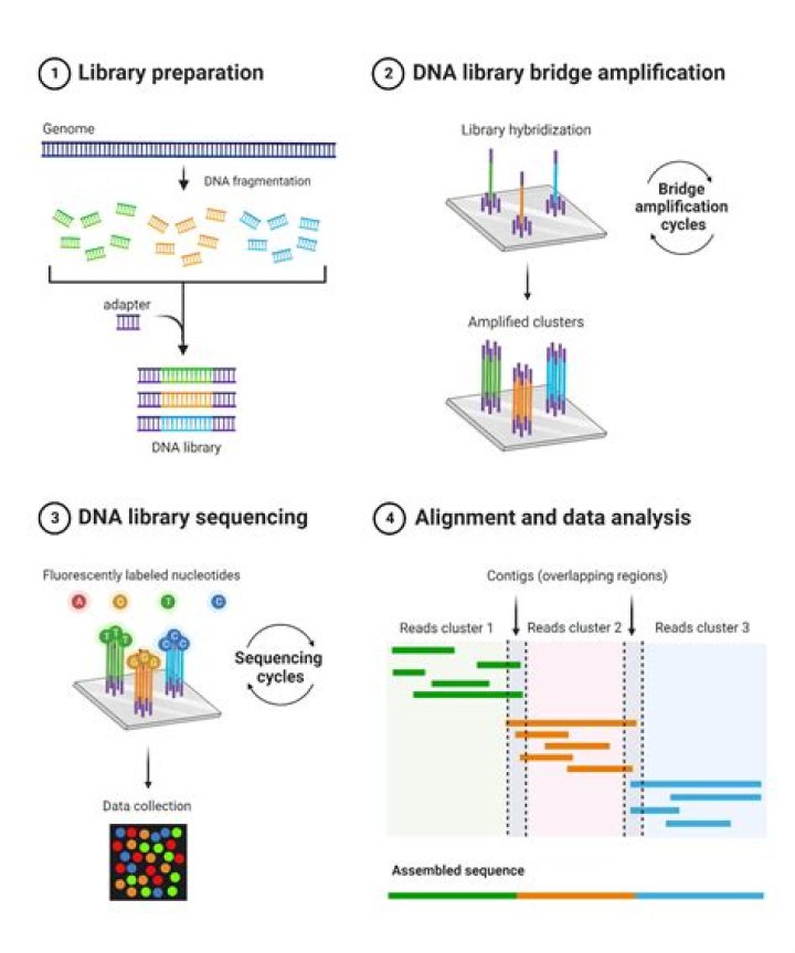 What is sequencing in PLC?