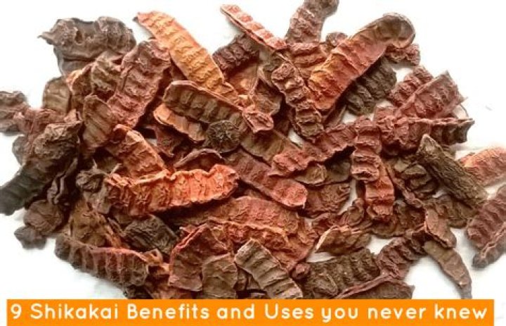 What is Shikakai called in Bengali?