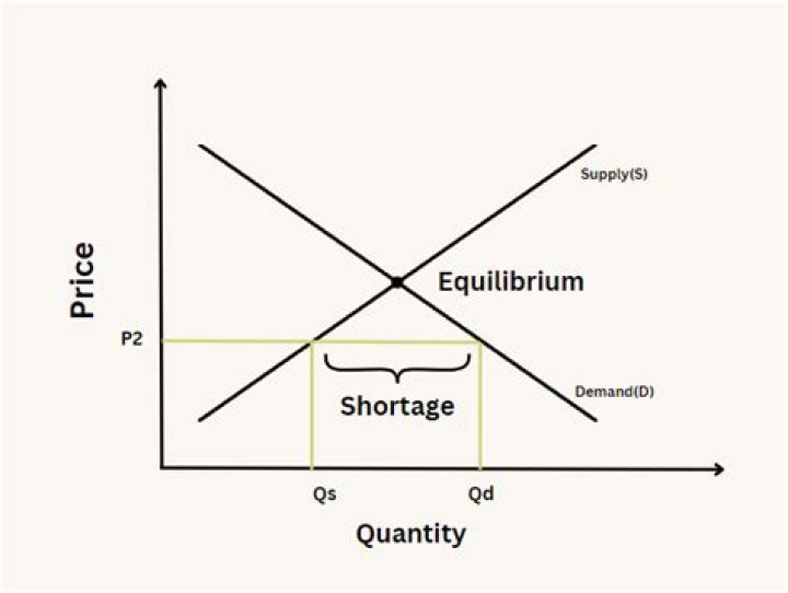 What is shortage market equilibrium?