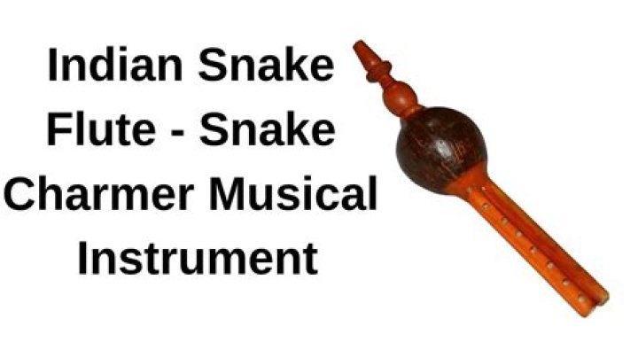 What is snake charmers instrument?
