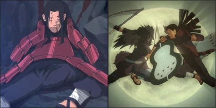 What is so special about hashirama cells?