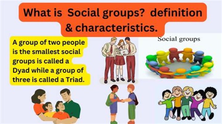 What is social foundation?