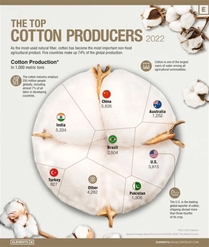 What is source of cotton?
