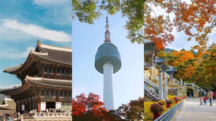 What is South Korean famous for?