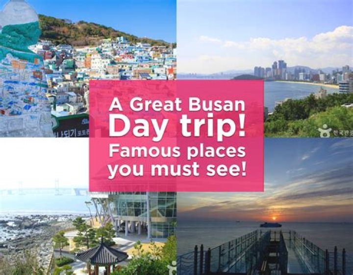 What is special in Busan?