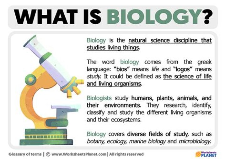 What is synonym in biology?