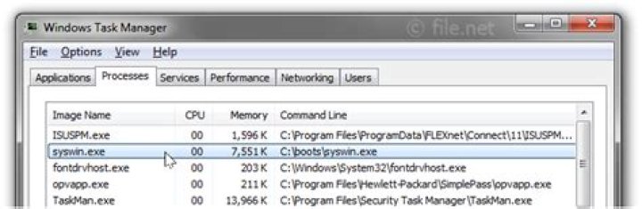 What is SysWin EXE?