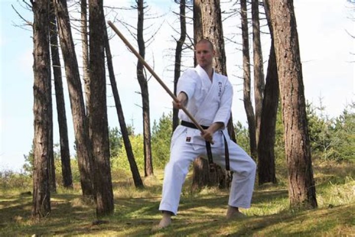 What is Tanden in karate?