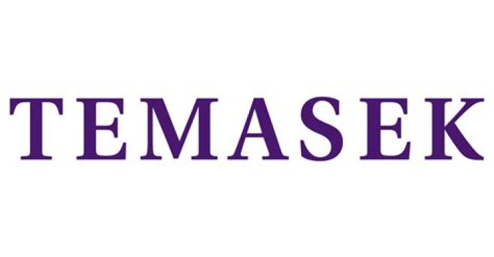 What is Temasek?