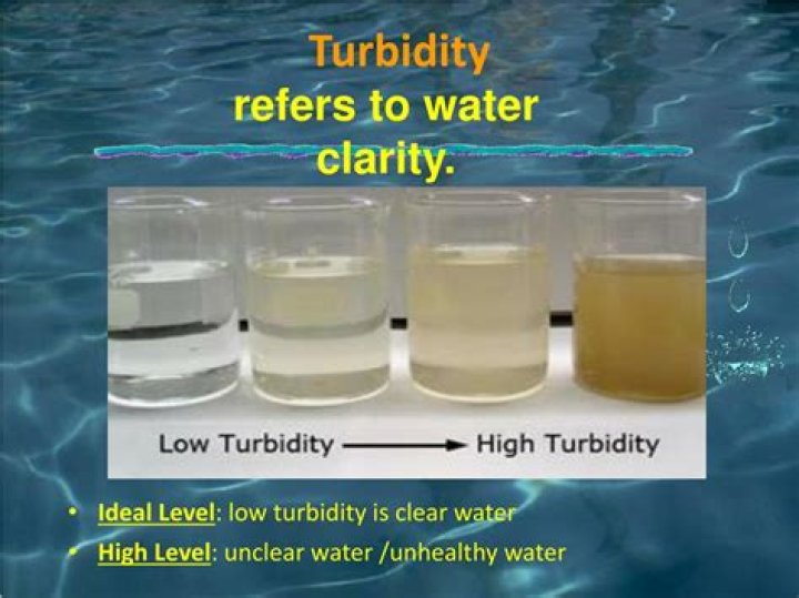 What is the acceptable level of turbidity for water?