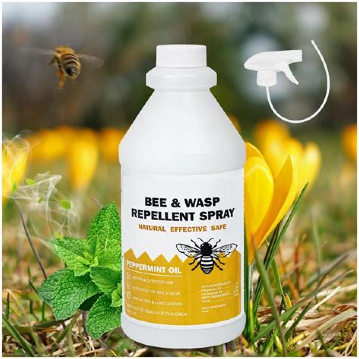 What is the active ingredient in wasp spray?
