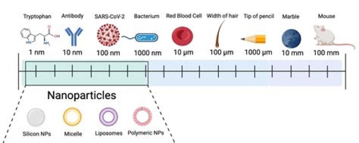 What is the approximate size of a nanoparticle?