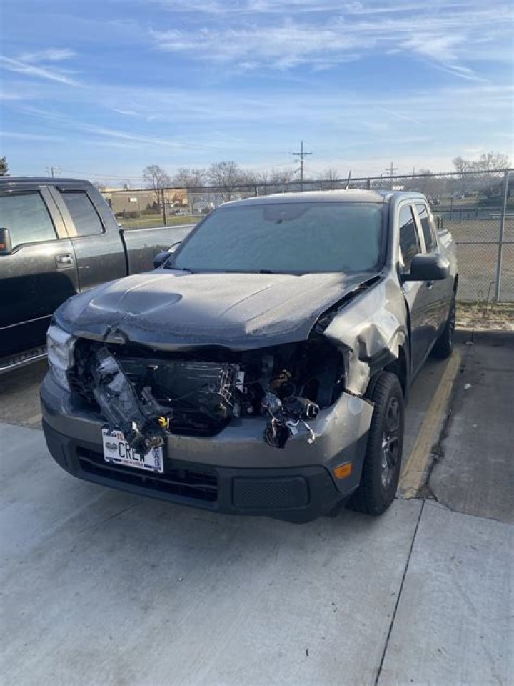 What is the average cost of a deer vehicle collision?