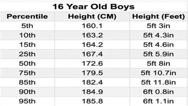 What is the average height for a 16 year old male?
