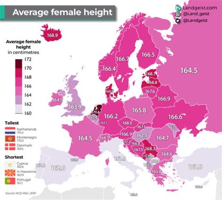 What is the average size of a European woman?