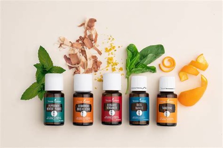 What is the best book for essential oils?