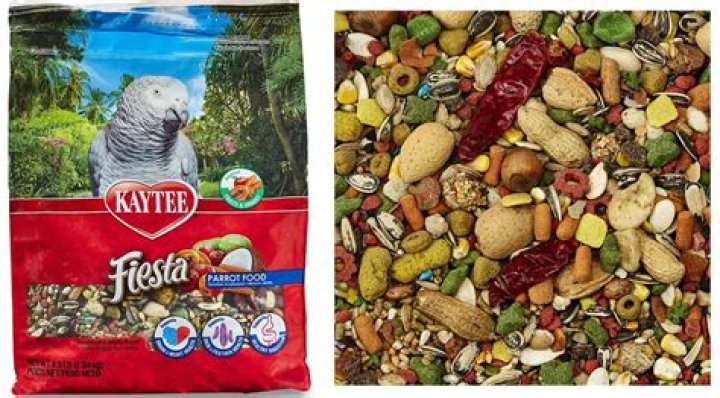 What is the best brand of parrot food?