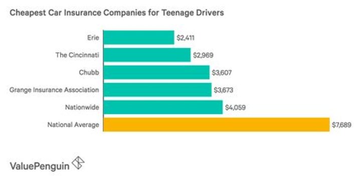 What is the best car insurance for new young drivers?