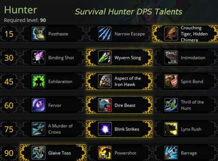 What is the best hunter DPS spec?
