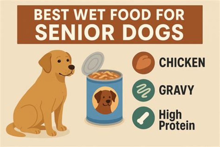 What is the best senior wet dog food?