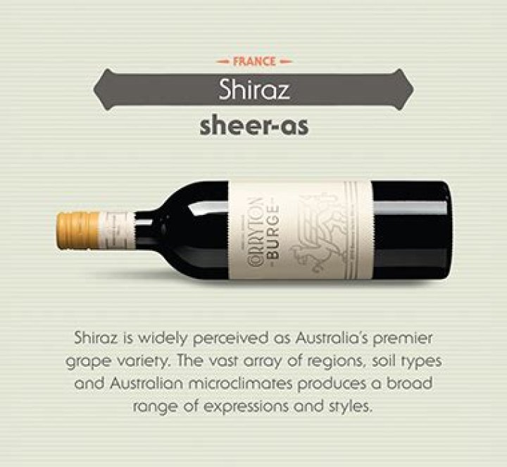 What is the best Shiraz red wine?