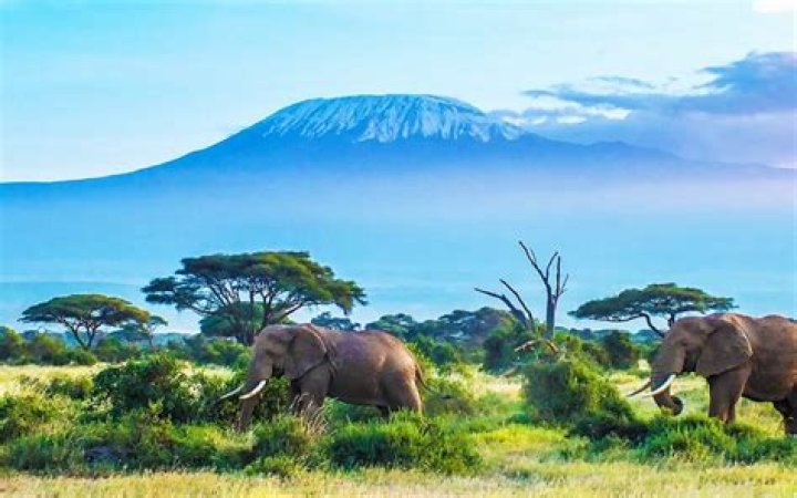What is the best time of year to go to Tanzania for Safari?