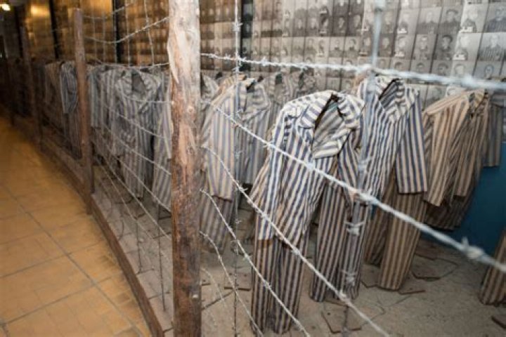 What is the best tour of Auschwitz?