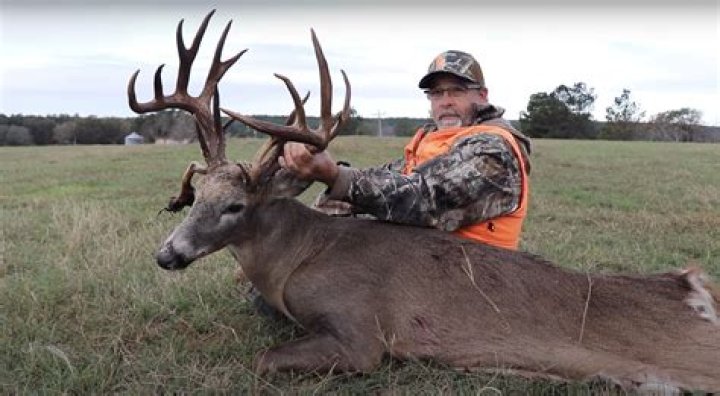 What is the biggest buck killed in Georgia?