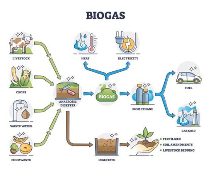 What is the biogas energy?