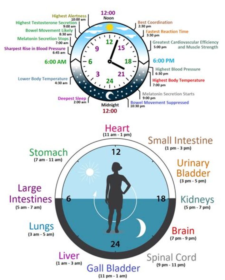 What is the biological clock for women?