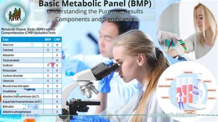 What is the BMP?
