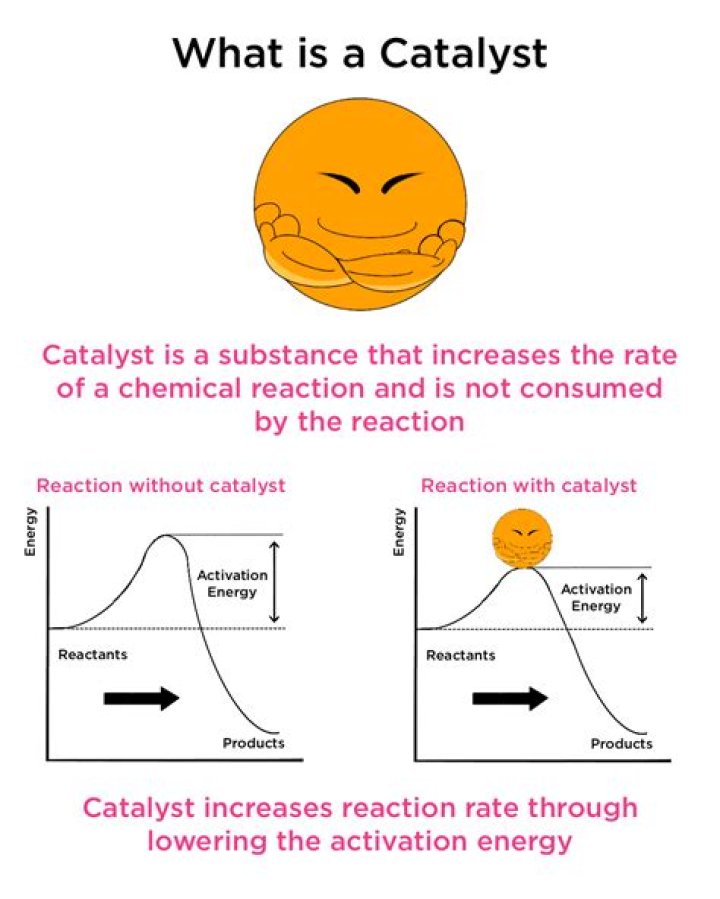 What is the catalyst system?