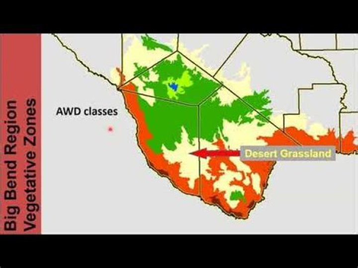 What is the climate of Trans Pecos?