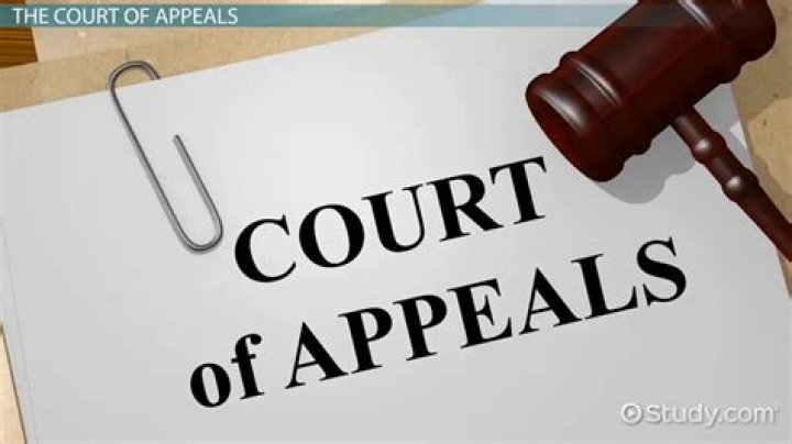 What is the composition of the Court of Appeal?