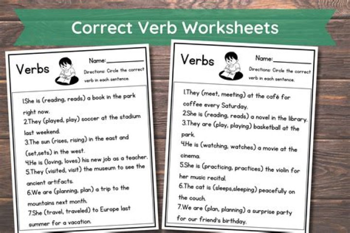 What is the correct verb go?