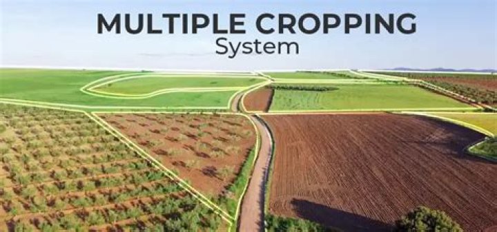 What is the cropping season of wheat?