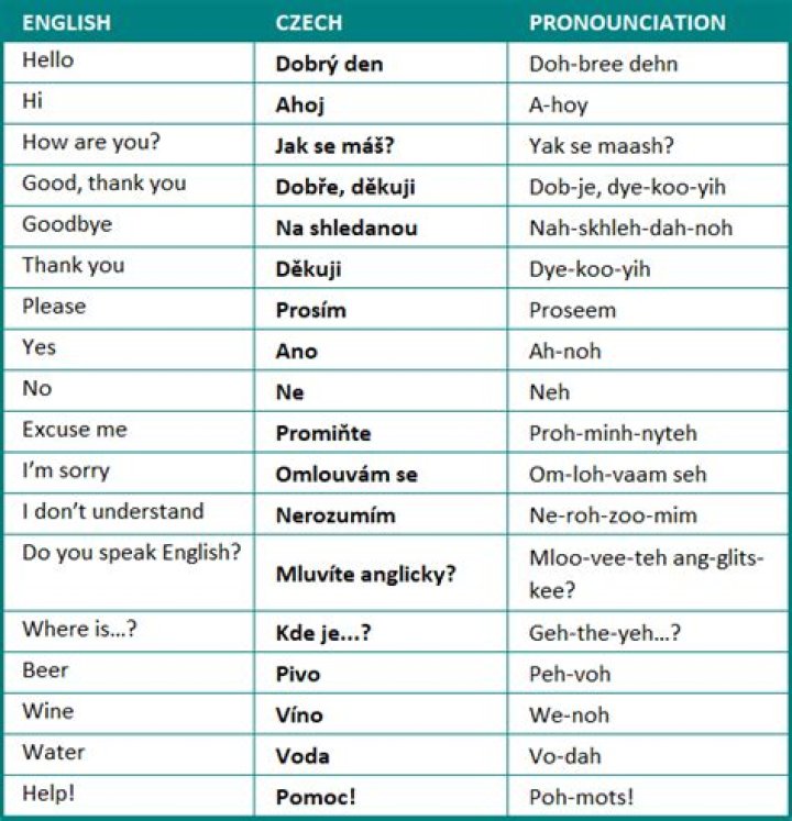 What is the Czech word for language?