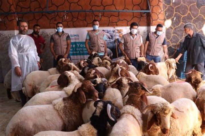 What is the date of Qurbani?