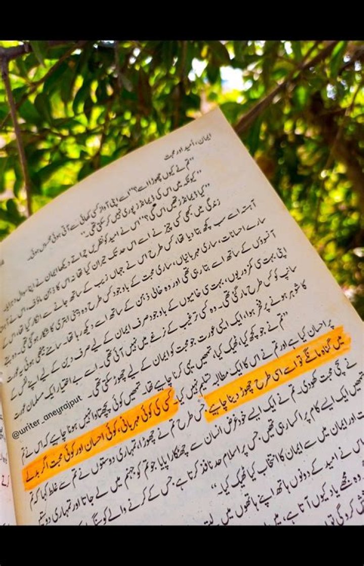 What is the definition of novel in Urdu?